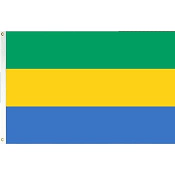 Amazon Com Vista Flags 3x5 Gabon Flag Gabonese Republic Banner