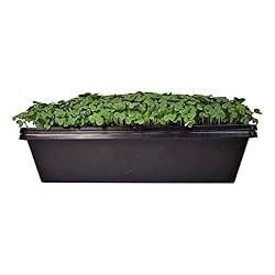 Bootstrap Farmer 1010 Trays 10 Pack Extra Strength
