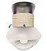 Humphrey Gas Light, Natural Almond (9NA), Pre-formed Mantle