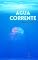 Livro Água Corrente