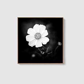 Framed Canvas Home Artwork Decoration Beautiful Flower Canvas Wall Art for Living Room, Bedroom - 16x16 inches
