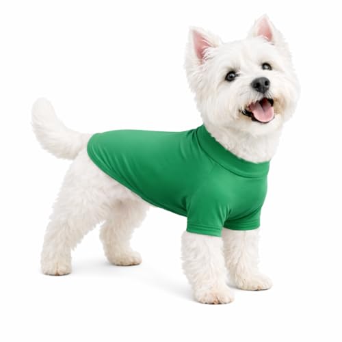 LoveLongLong Spring Summer Cooling Dog T-Shirt with UV Protection and Moisture-Wicking Fabric Blank Color Leaf green XS
