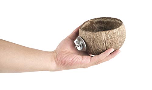 andwe Squirrels Feeder Coconut Feeding Bowl for Birds Chipmunk Wildlife - Outdoor Backyard Decor Accessories