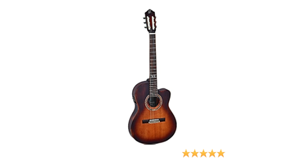Ortega Guitars The Private Room 6 String Classical Guitar Right Dssuite C E Musical Instruments Amazon Com