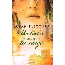 Un  bûcher sous la neige