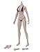 Phicen 1/6 Asia Female Seamless Body with Metal Skeleton Sun Tan Skin Tones PLMB2018-S27B