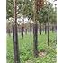 Rigid Plastic Mesh Tree Bark Protector, 36 Inches Tall (Pack of 5)