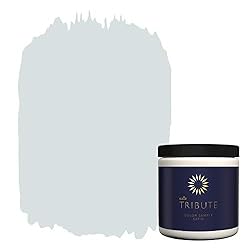 KILZ TRIBUTE Paint & Primer, Interior, Color