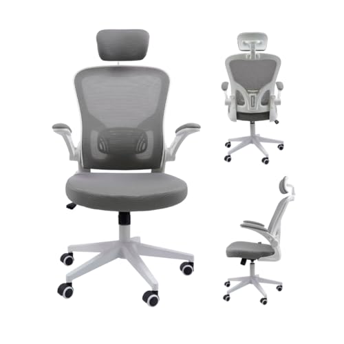 Cadeira Ergonômica Eurynom, Giratória, para Escritório e Home Office, com Encosto Reclinável, Braços Pivotantes, Apoio de Cabeça, Apoio Lombar (Cinza)