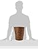 LaMont Home Carter Collection - Round Wastebasket