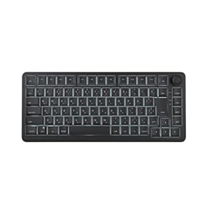 AIM1 瞬 ラピッドトリガー ゲーミングキーボード 日本語配列 75%サイズ ポーリングレート8000Hz対応 0.01mm MATATAKI ブラック