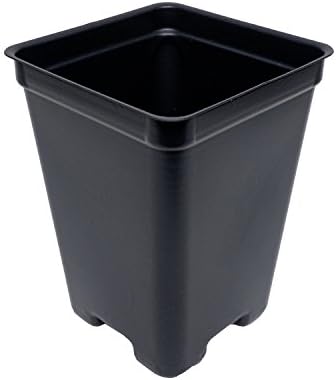 2.65 Inch Square Deep Pots - New Design - Made in the USA for Organic Gardening, Greenhouse, Nursery, Tomatoes - Recyclable (Black, 25)