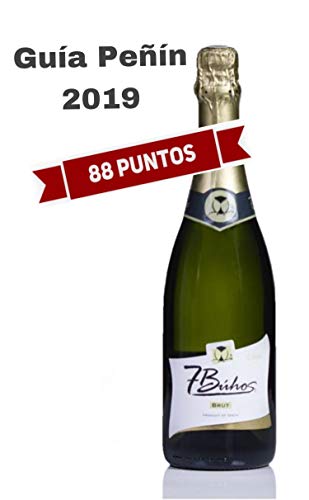 Sket Brut 7 Búhos - Schaumwein - 1 Flasche 750 ml - Kräftiger Sekt - Cava subtil fruchtig - Macabeo und Parellada… – Bild 4