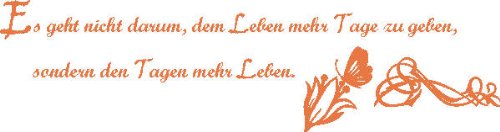 Indigos Wall Sticker, Vinyl, hasselnussbraun, 96 x 25 cm