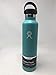 Hydro Flask Double Wall Vacuum Insulated Stainless Steel Leak Proof Sports Water Bottle, Standard Mouth with BPA Free Flex Cap, Mint
