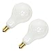 Sylvania 2-Pack 60 Watt Candelabra Ceiling Fan Light Bulbs