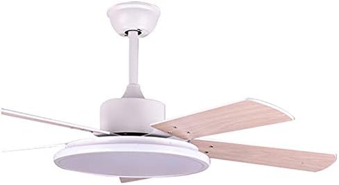 RXUNA Modern Low Profile Fan Light, Dimmable Double-Sided Fan Blade Ceiling Fan Light Summer Winter Run Ceiling Fan Lamp-whiteb 46inch [Energy Class A]