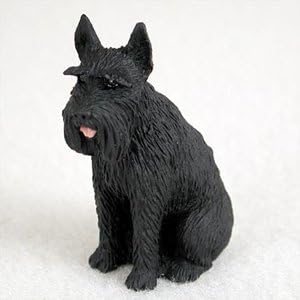 simply black schnauzers