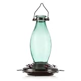 BOLITE 18001 Hummingbird Feeder Glass Wild Bird Feeders, Retro Edison Bulb Bottle, 25 Ounces