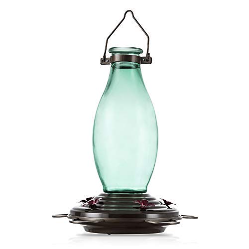 Amazon Com Bolite 18001 Hummingbird Feeder Glass Wild Bird