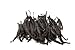 Slofoodgroup Grade B Vanilla Beans, 10 Premium Quality Extract Vanilla Pods for Making Homemade Vanilla Flavor, Vanilla Powder or Vanilla Paste, Tahitian and Bourbon Type Whole Vanilla Beans