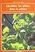 Identifier les arbres dans la nature by 