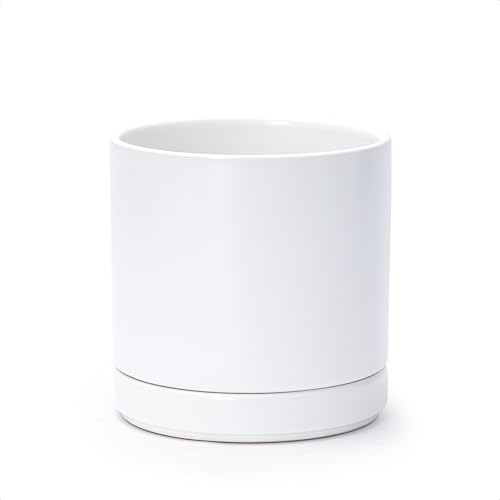 Dvine Dev Ceramic Planter Pot with Drainage Hole and Saucer, Indoor Cylinder Round Planter Pot, 6 Inch, White, 94-O-S-1