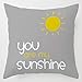 DUSEN Decorative Cute Throw Pillow Covers for Couch, Sofa, or Bed Set of 4 18 x 18 inch Quote Words and Bird Sunshine Flower Cusion Cover (Grey Bird Sunshine Flower)