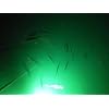 Green-LED-Crappie-Light-Night-Fishing-Light-Walleye-underwater-submersible-Black-Friday-Sale