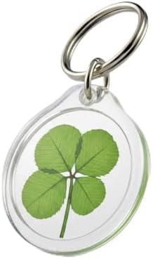 Amazon.com: Clovers Online Genuine Preserved 5 Leaf Clover Good