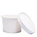 Belinlen Paper Ice Cream Cups with Lids, Hot/Cold Soup Cups (White, 40, 12 oz)