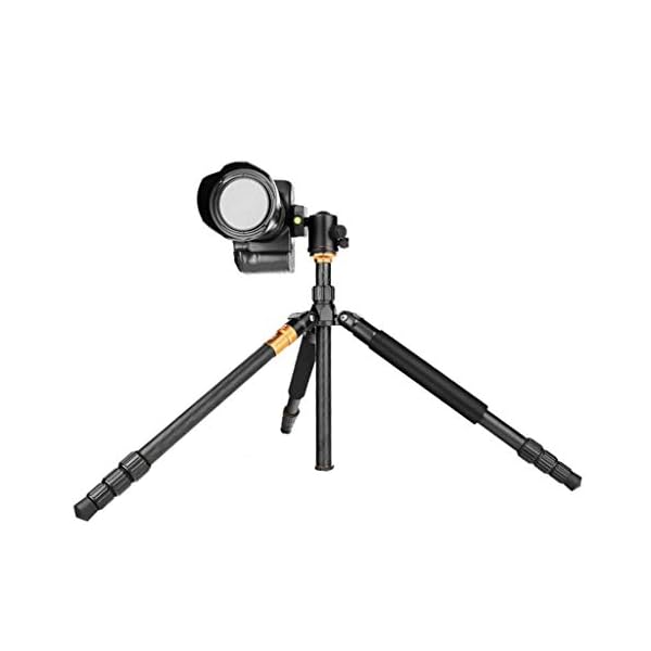 XYSQWZ Aluminium Telefonhalter Mädchen Live Broadcast Fotografie DSLR Kamera Stativ - Family Dinner Kamera Telefonhalter… – Bild 6