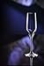 Stolzle Eclipse Crystal Glass Champagne Flutes, 6.25 oz (Set of 6)