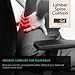 AirGo Products Cooling Gel Memory Foam Lumbar Cushion