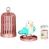 our generation guinea pig