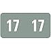 ETS Color-Coded Year Label, 2017, Label Sheet, Gray, 250 per Pack (67917)