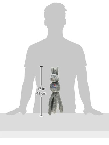 KONG Wubba Friend Dog Toy, Large, Assorted