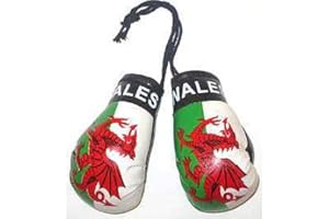 Wales - Mini Boxing Gloves