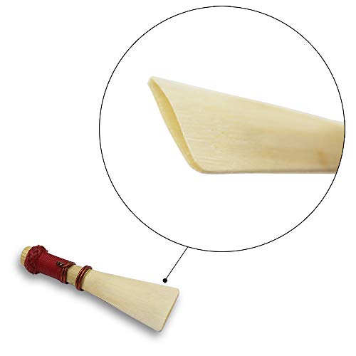Algol - 1 Piece Medium Strength Bassoon Reed with Case Bassoon Parts & Accessorie