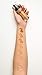 Cargo Cosmetics Swimmables Longwear Foundation, 40