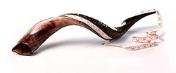 Yemenite Kudu Horn Shofar Shofars with Free Anti