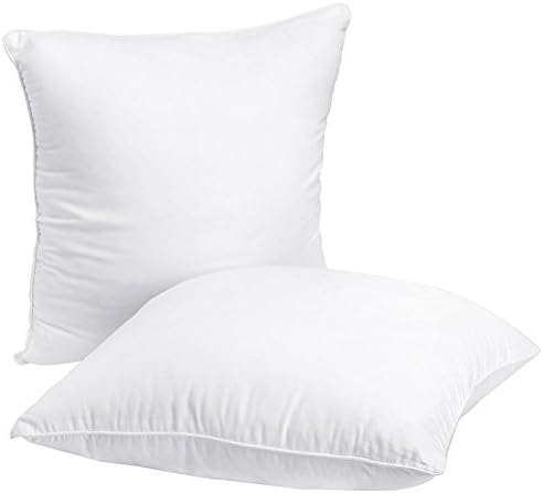 HIPPIH 2 Pack 20 x 20 Pillow Inserts, Hypoallergenic Decorative Square Pillow Form Insert with Zips