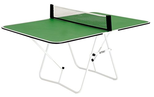 Butterfly Family Table Tennis Table