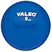 Valeo WFB6 6-Pound Weighted Fitness Ball With Soft Vinyl Covering And Included Exercise Chart, 5-Inch Diameter