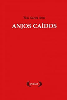 Livro Anjos Caídos