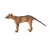 Mojo Fun 387161 Thylacine - Tasmanian Tiger - Realistic International Wildlife Toy Replica
