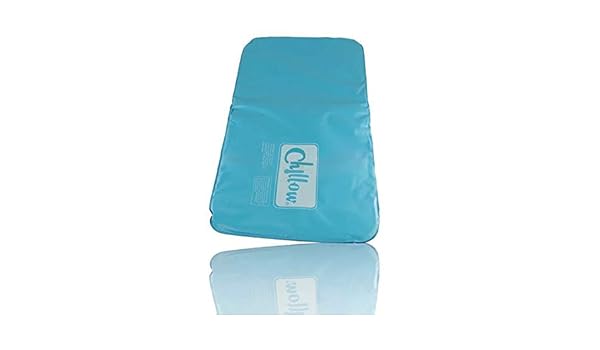 Amazon Com Clkjyf Summer Cooling Ice Pillow Household Cooling