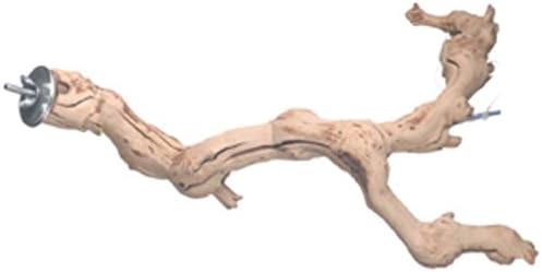 Jungle Toys Grapevine Perch Medium 10" - 12"