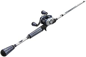 lew's inshore baitcaster combo