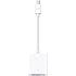 Apple Mini DisplayPort to DVI Adapter (MB570LL/B)